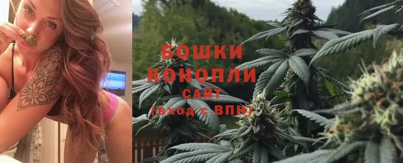 Конопля OG Kush  Острогожск 